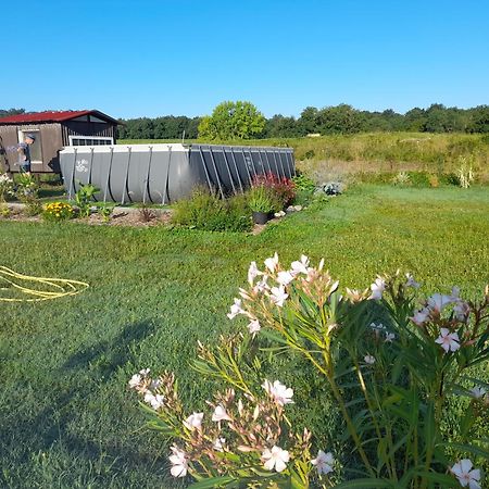 Cocooning Au Saut Du Loup Bed & Breakfast Lavergne  Екстериор снимка